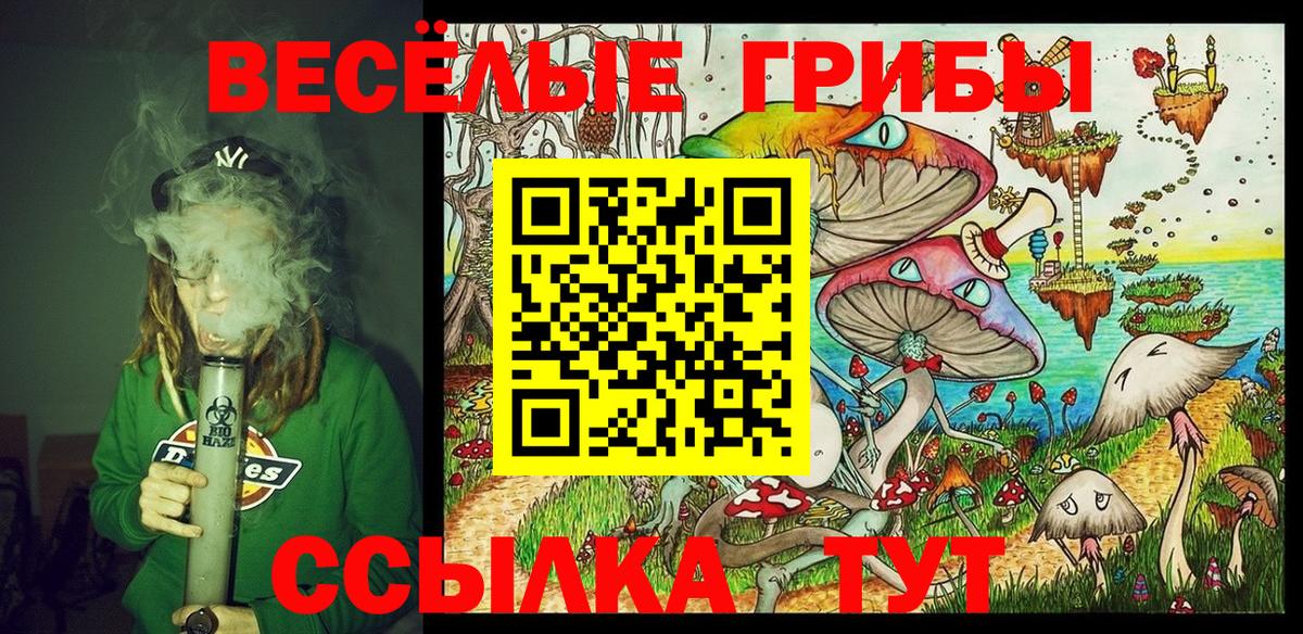 Сегежа  Галлюциногенные грибы Magic Shrooms  Галлюциногенные грибы прущие грибы  Вход с VPN 